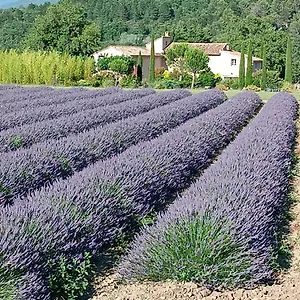 Mas De Longuefeuille , Malaucène France